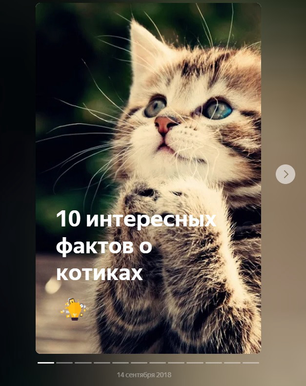 Нарратив — формат историй в Дзене, адаптированный под экраны смартфона
