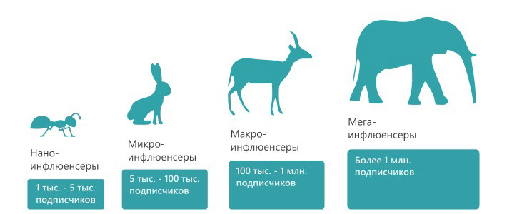 4 типа инфлюенсеров – нано, микро, макро и мега-инфлюенсеры