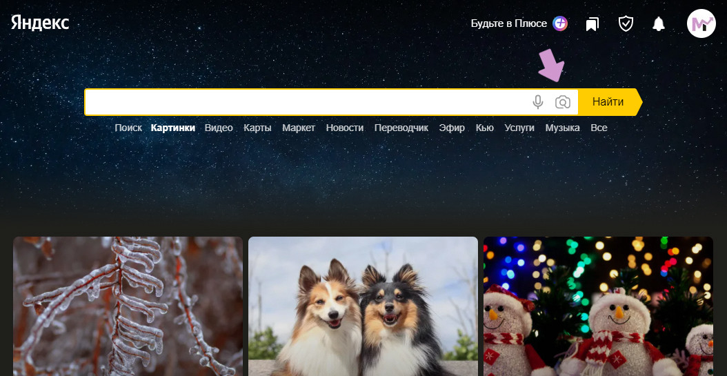 Загружаем фото человека в Яндекс.Картинки
