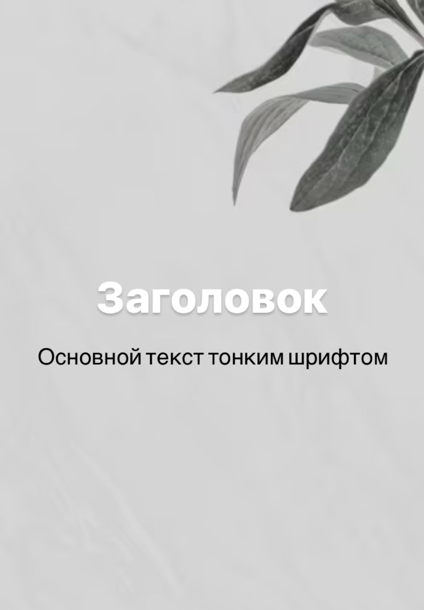 Пример жирного заголовка и тонкого основного текста.