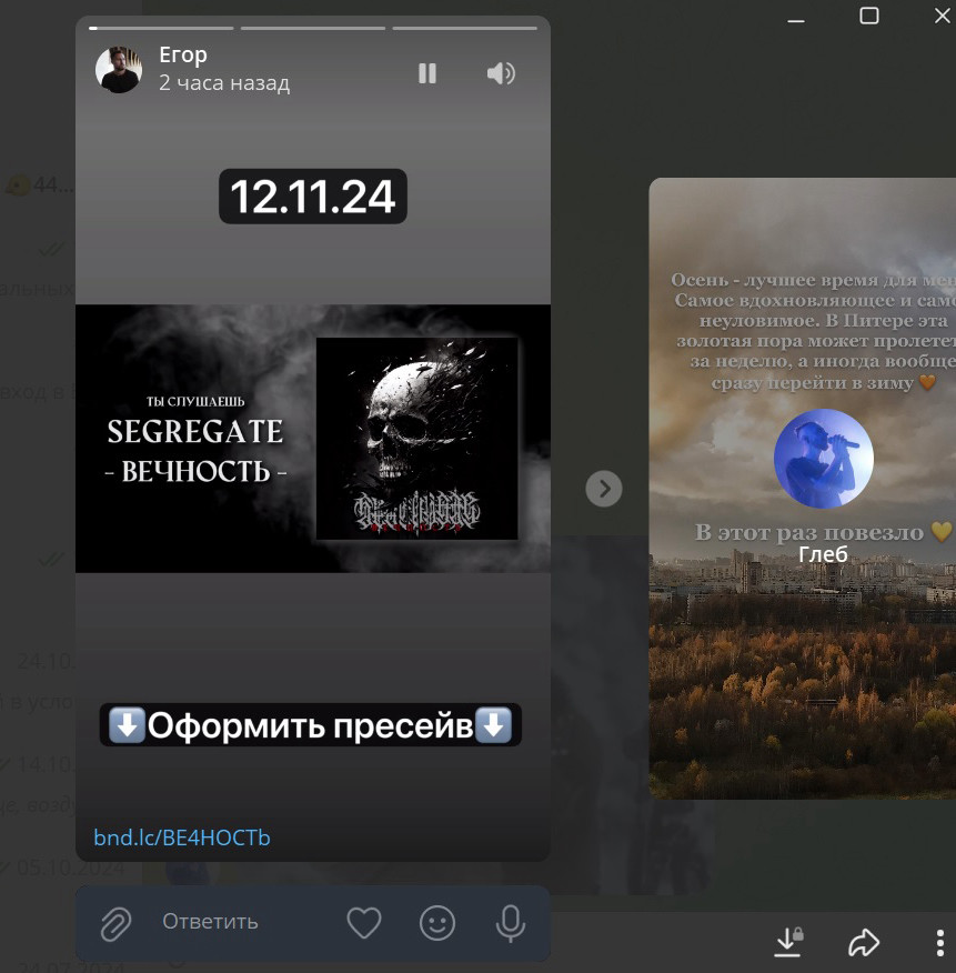 Так выглядят сторис в ПК-приложении Телеграм.