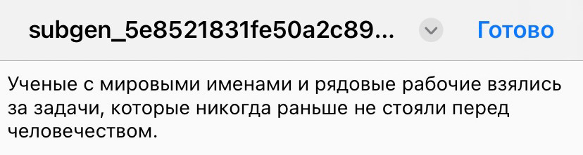 Готовый текст можно использовать для субтитров в редакторе рилс или сторис.