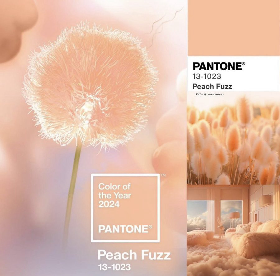 Peach Fuzz — цвет 2024 года по версии института цвета Pantone (фото: twitter.com/CindyFrich/status/1733587440336585035).