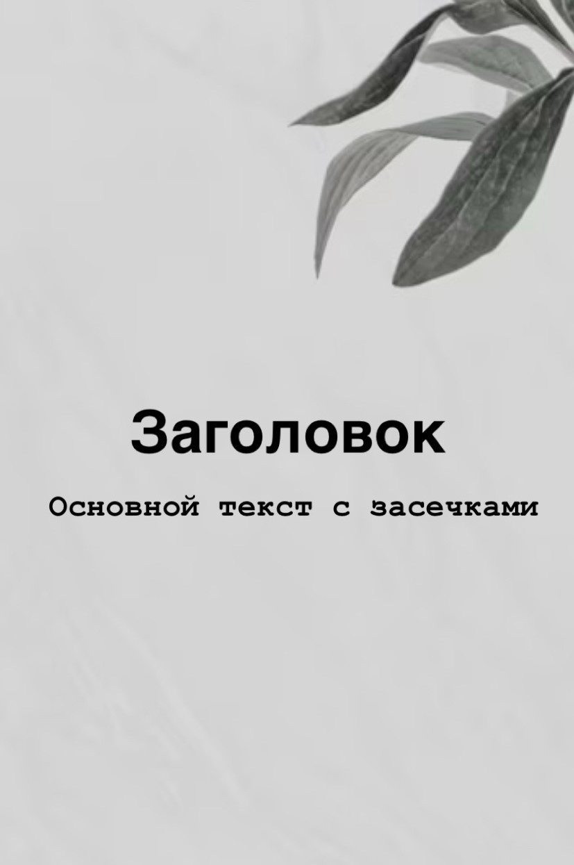 Пример комбинации заголовка без засечек и основного текста с засечками.