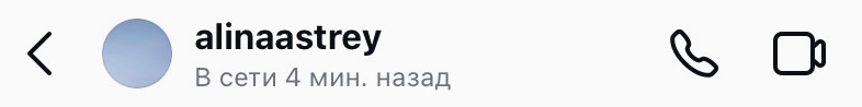 После выхода из Инстаграм в статусе отобразится время с последнего визита.