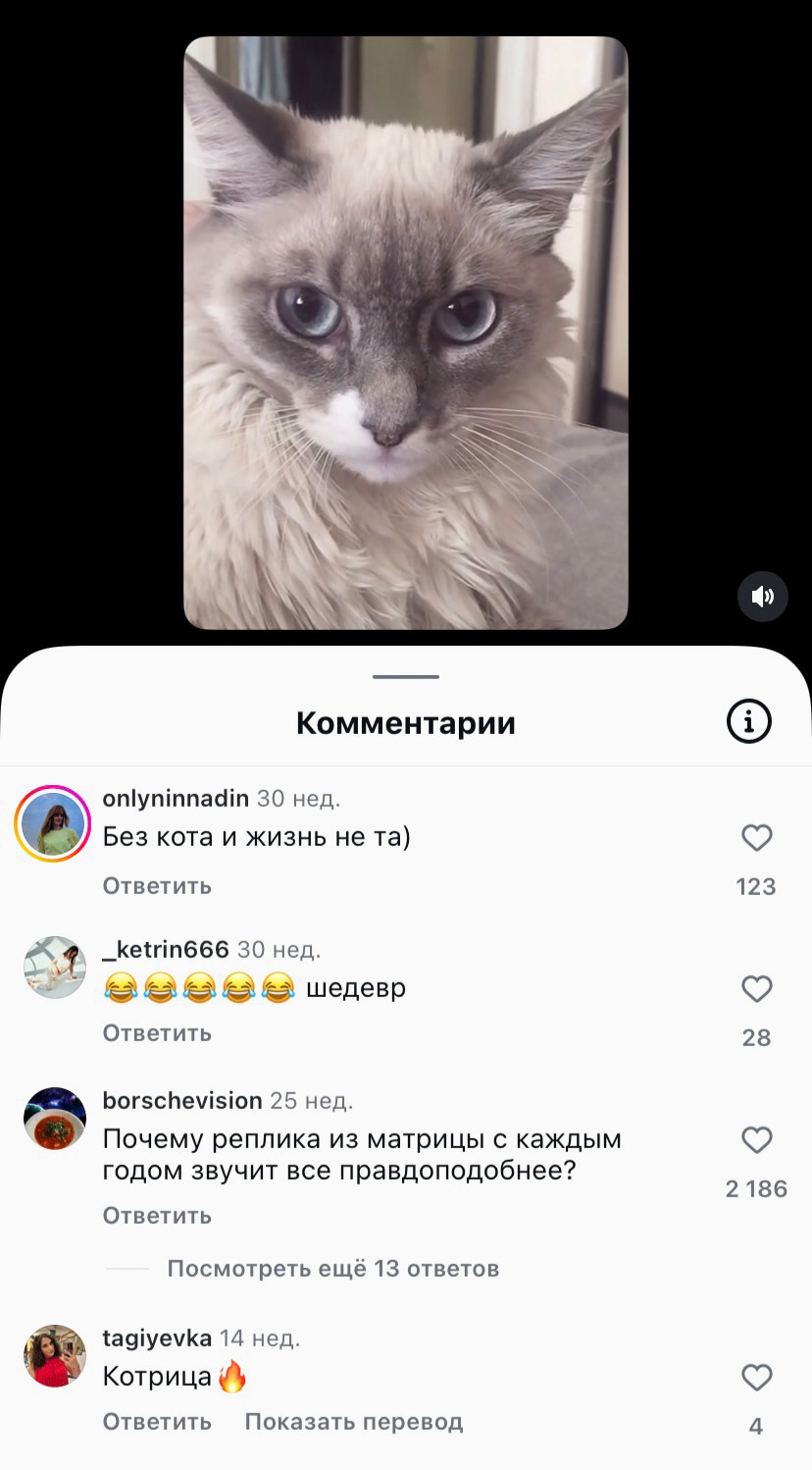 Список комментариев к посту в Инстаграм.