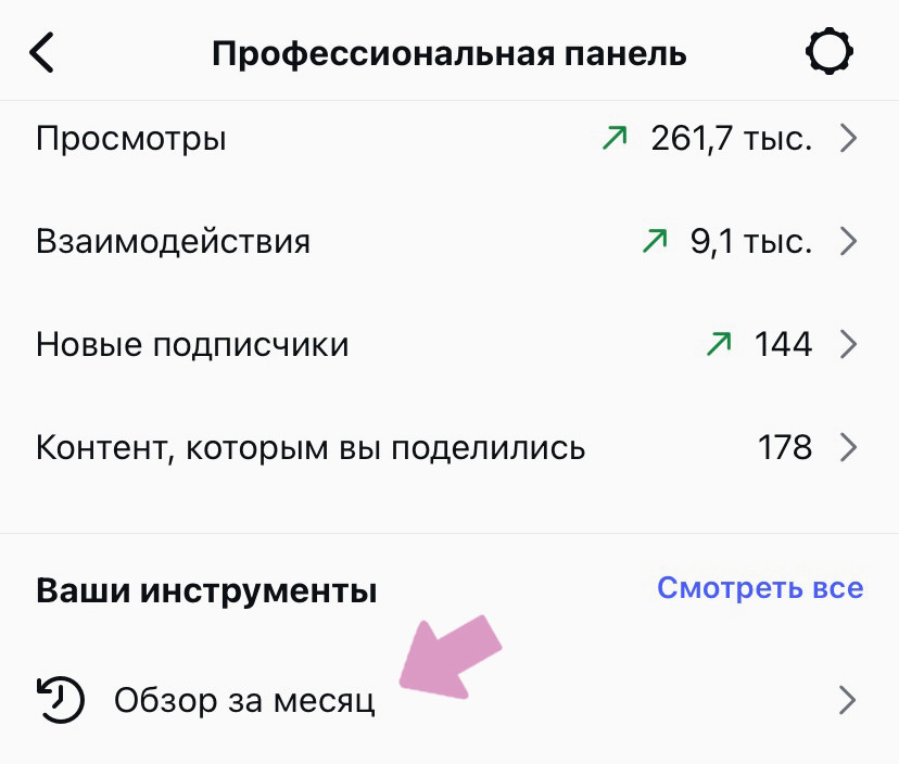 Аккаунт Инстаграм → "Профессиональная панель" → "Обзор за месяц".