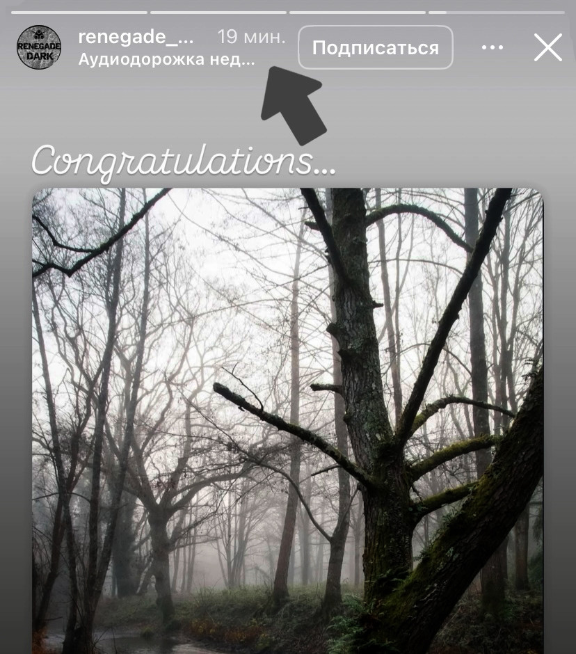 Время публикации сторис отображается в верхней части.