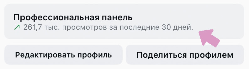 Аккаунт Инстаграм → "Профессиональная панель".
