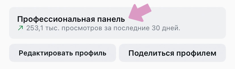 Общая статистика Инстаграм-аккаунта находится в профессиональной панели.