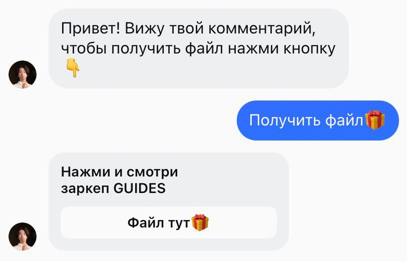 Так выглядит переписка с ботом в Инстаграм Директ.