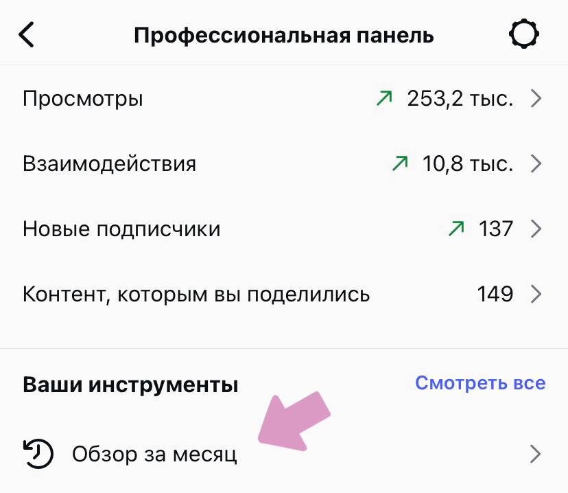 Профессиональная панель → "Обзор за месяц".