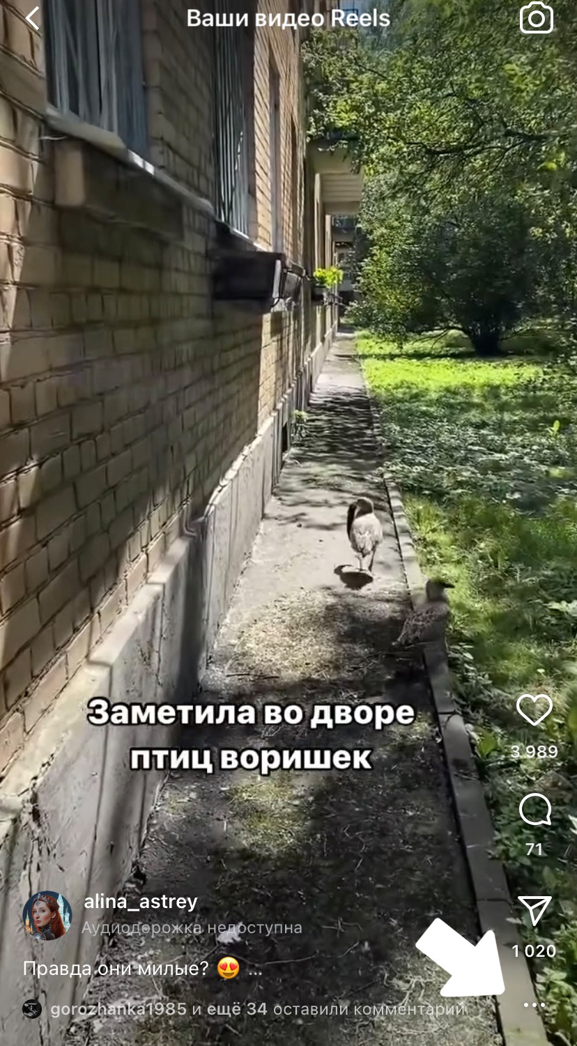 Откройте дополнительные опции в Рилс-ролике ("..." в правом нижнем углу).