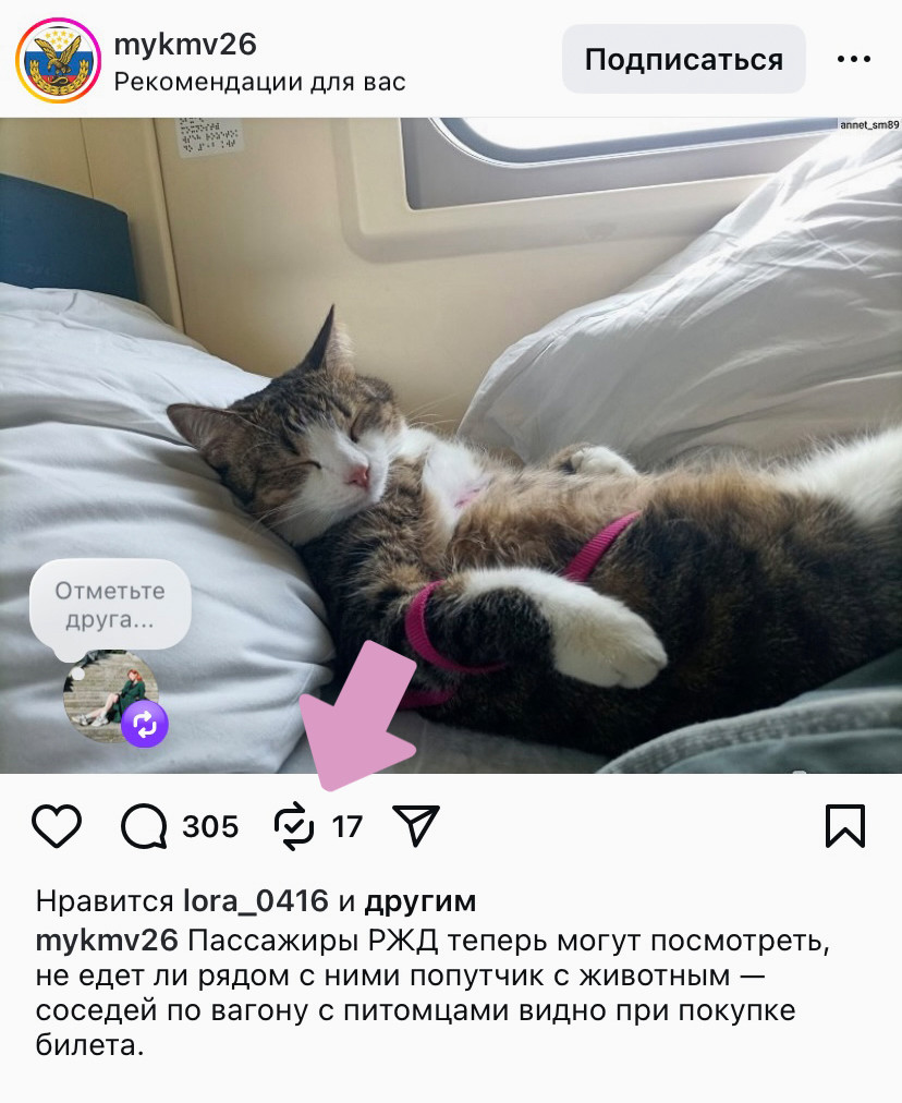 Кнопка репоста находится под публикацией (выглядит как две круговые стрелки).