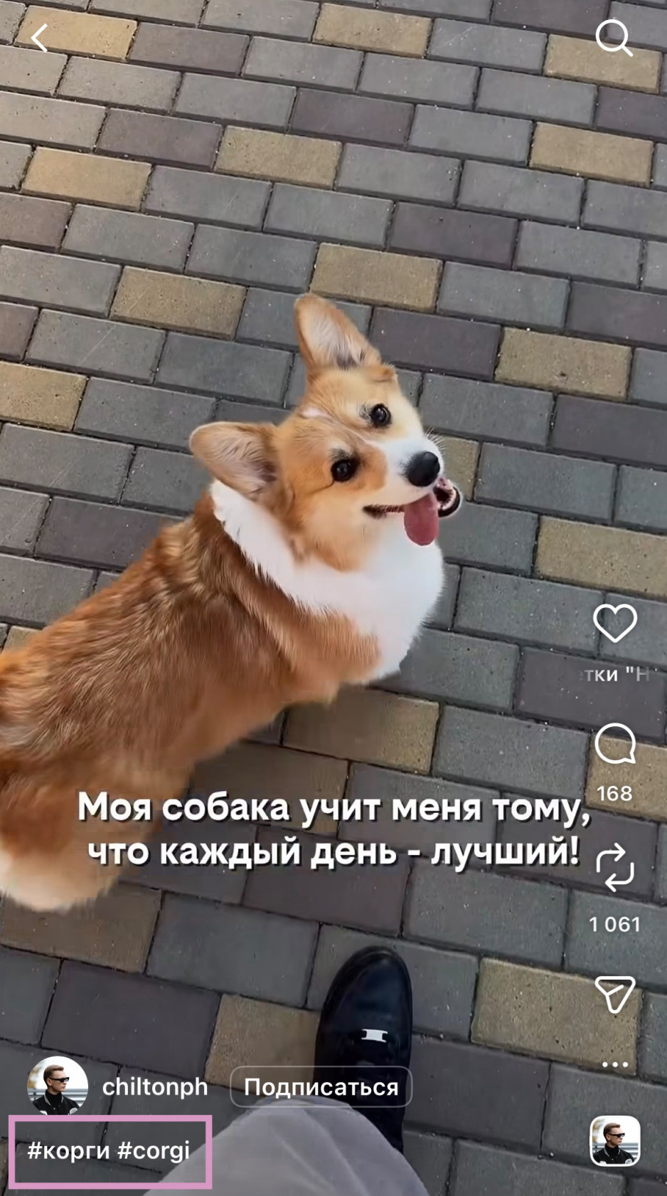 Так выглядят хештеги в рилс.