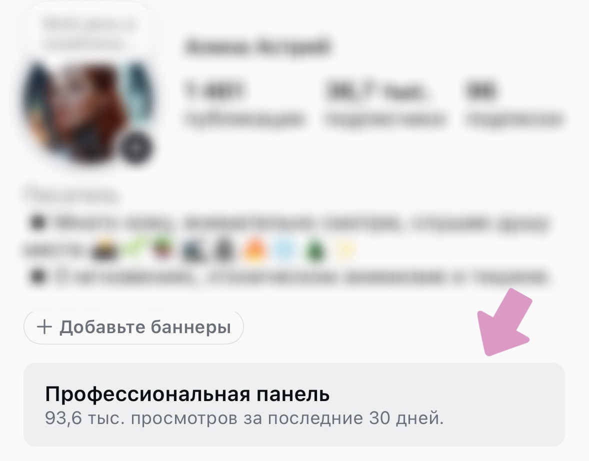 Инстаграм-аккаунт → "Профессиональная панель".