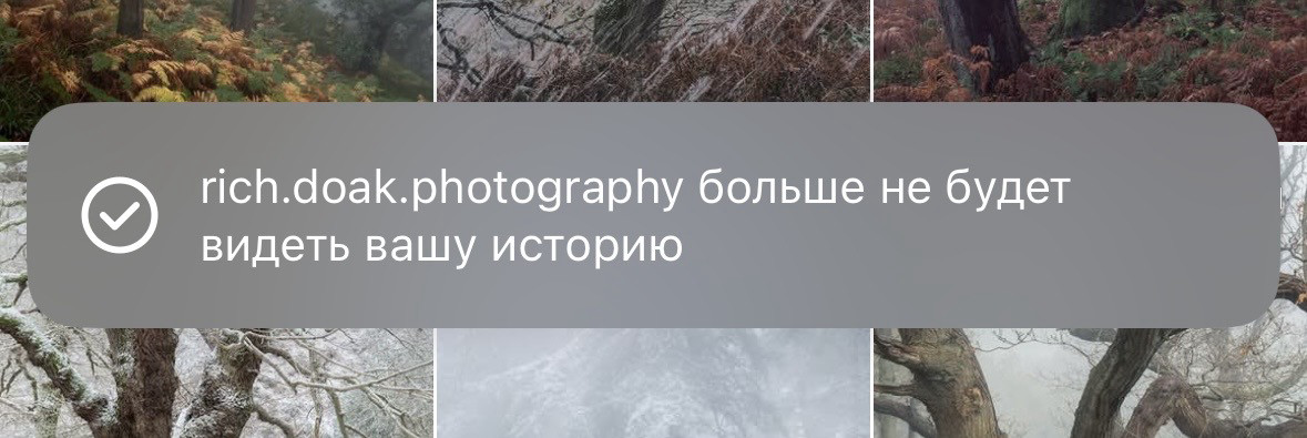 Уведомление о том, что сторис успешно скрыты от пользователя.