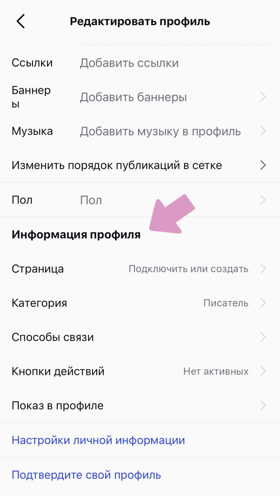 Во вкладке редактирования профессионального профиля появится раздел "Информация профиля".