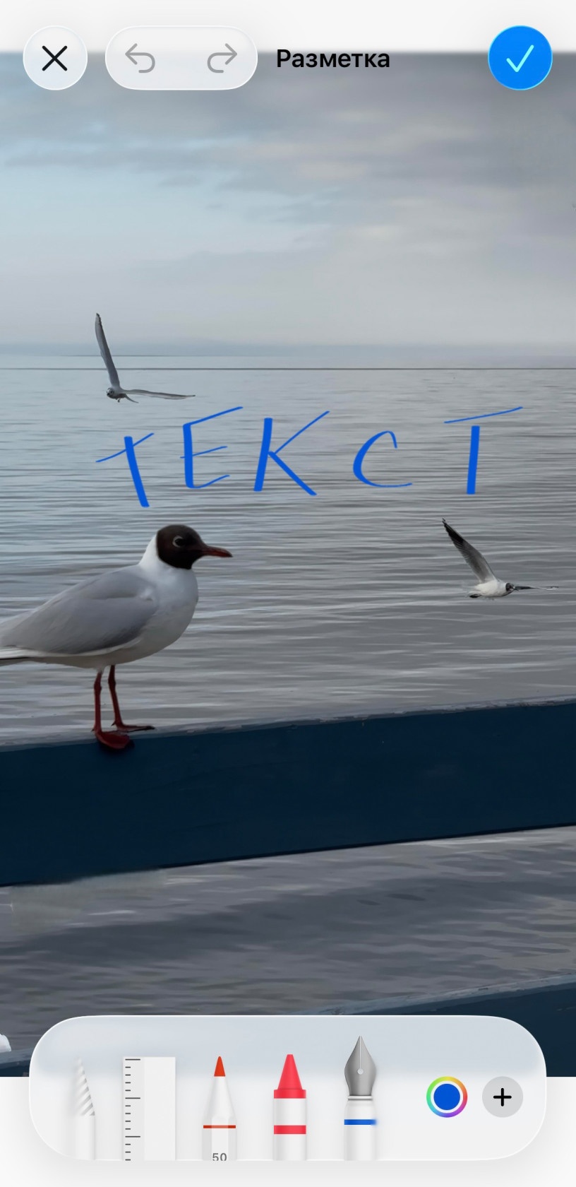 Редактор скриншотов.