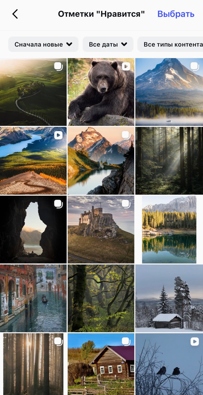 Так выглядят публикации, которым вы поставили лайк.