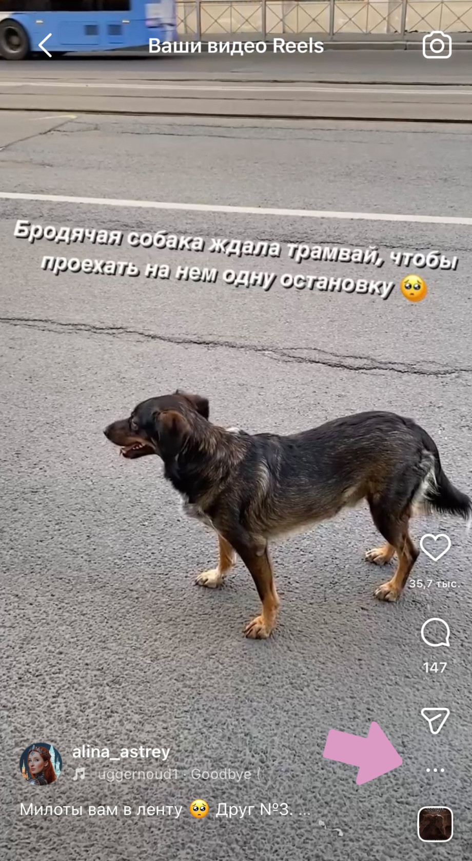 Ролик рилс → "Три точки".