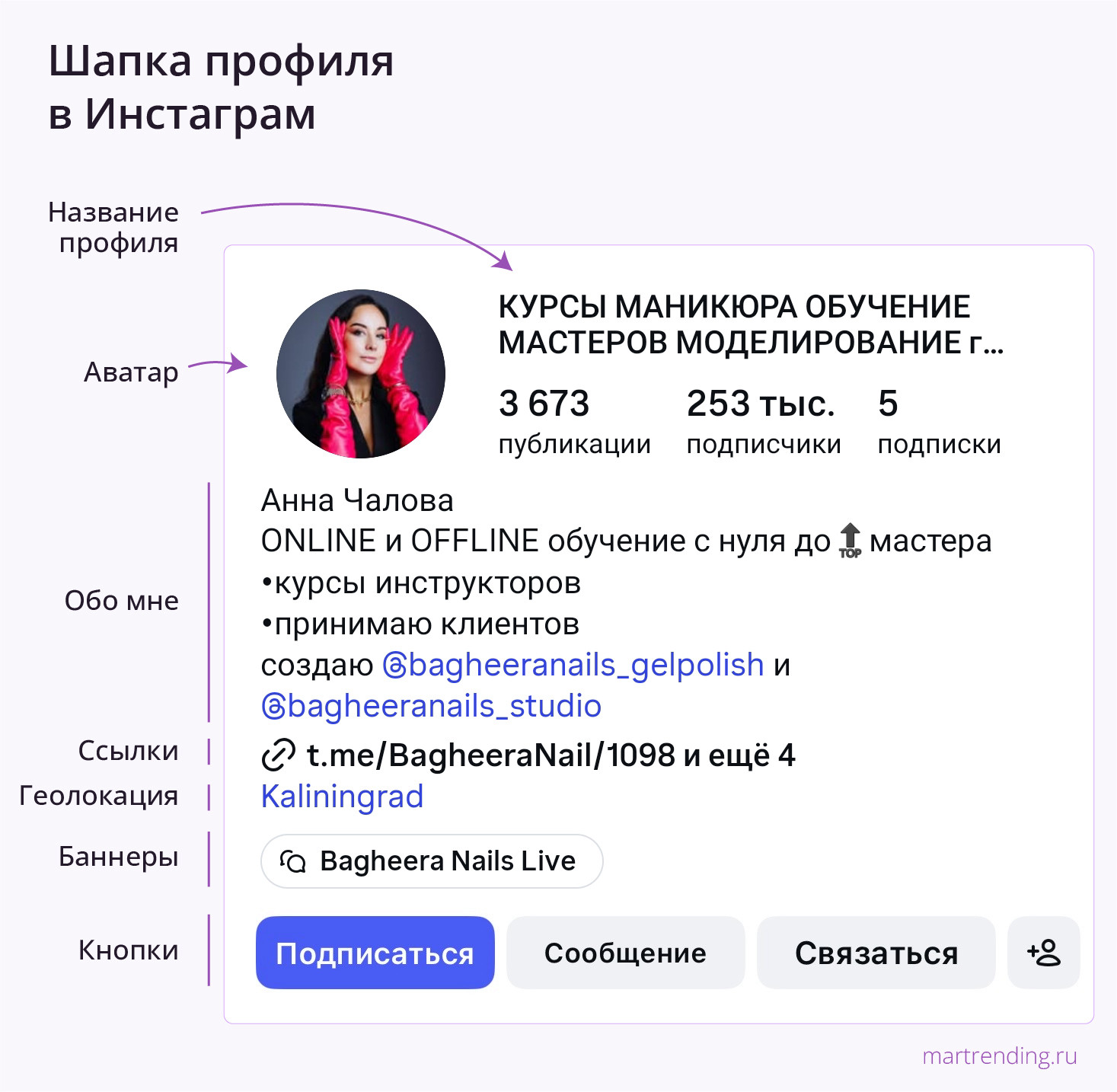 Элементы шапки профиля в Инстаграм.