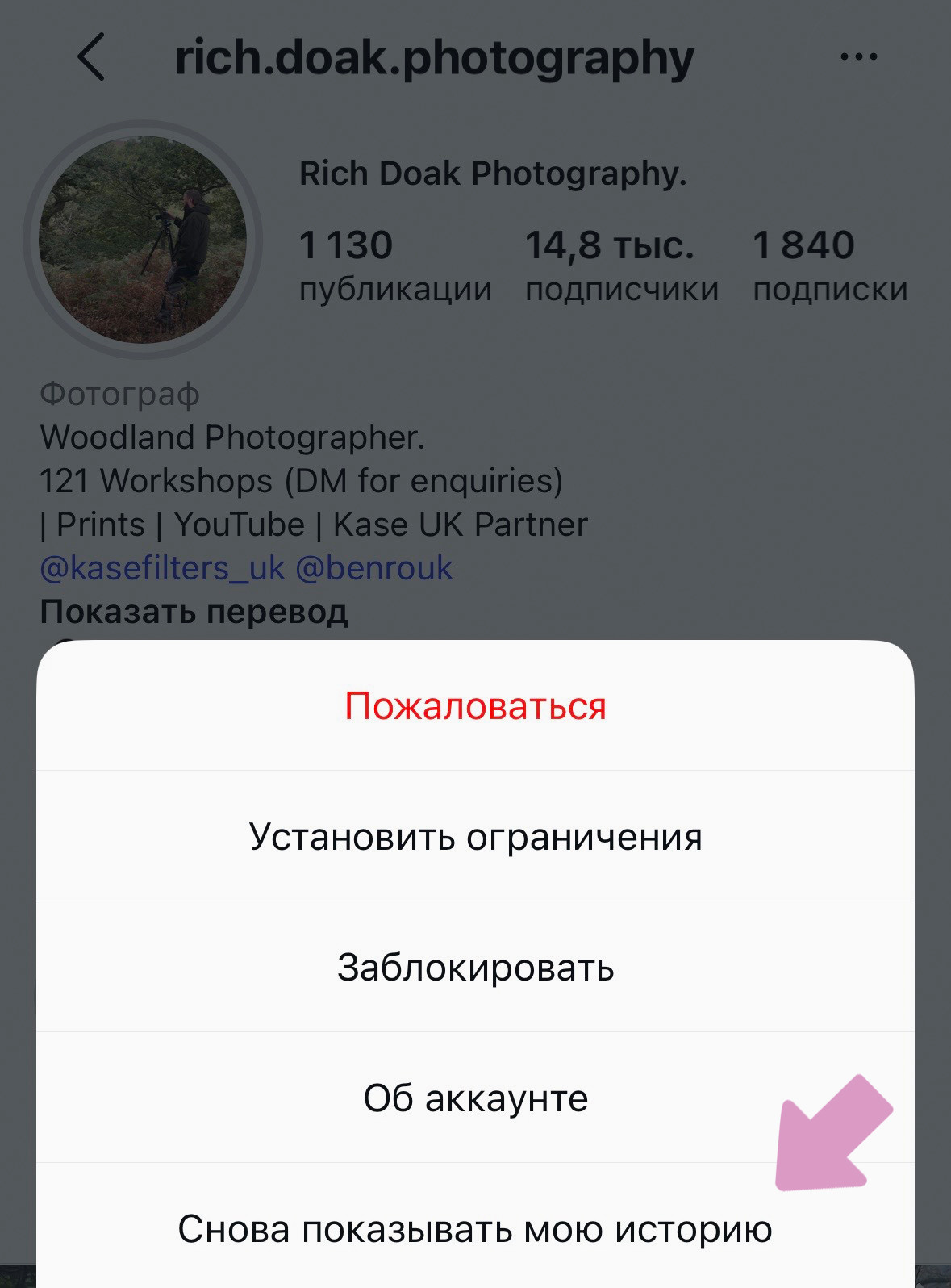Снова показать сторис для пользователя: Профиль пользователя → "…" → "Снова показывать мою историю".